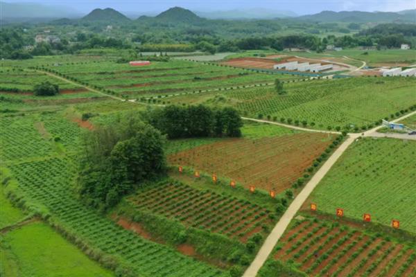 五地一产是指什么,指的是农村集体非承包耕地、林地等