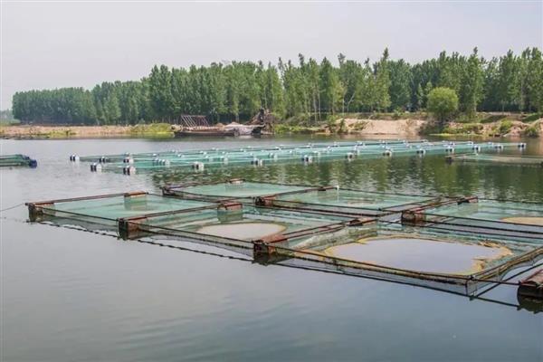 鱼塘缺氧如何解决，循环注水可以提高氧气含量