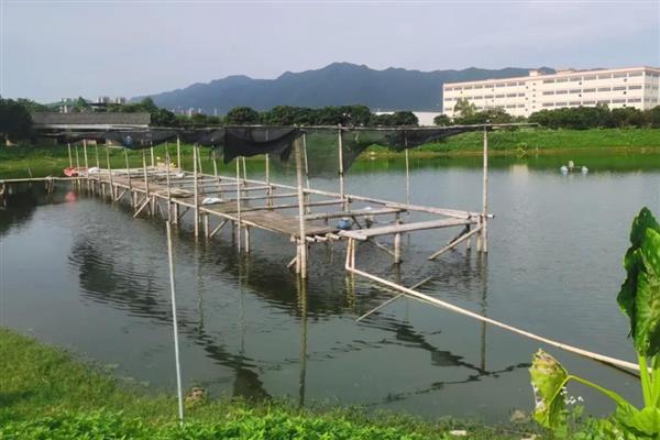 鱼塘缺氧如何解决，循环注水可以提高氧气含量
