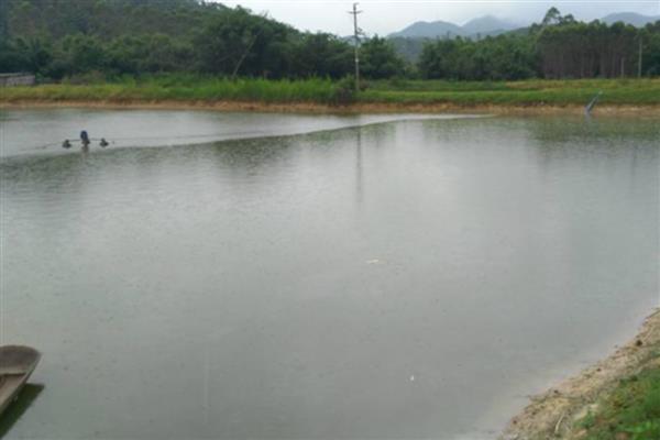 鱼塘缺氧如何解决，循环注水可以提高氧气含量