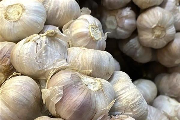 甘肃金塔县的特产，手工黑醋属于调味极品