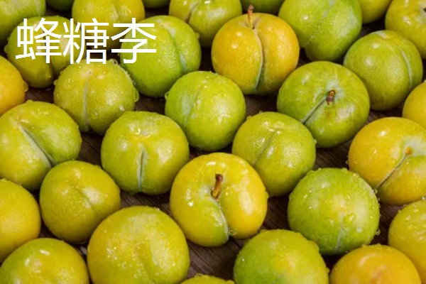李子的外观特征,果实呈球形、卵球形或近圆锥形