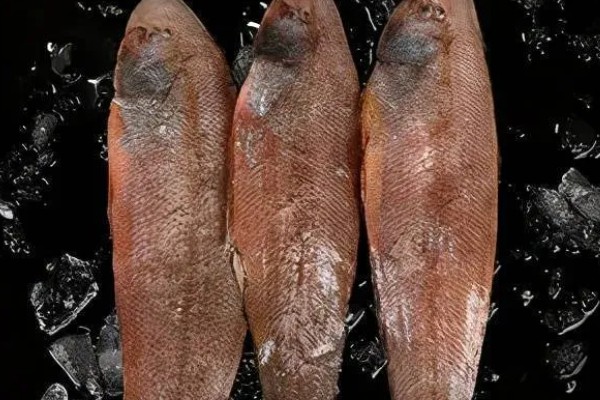 龙利鱼的价格,一斤需要50-60元左右