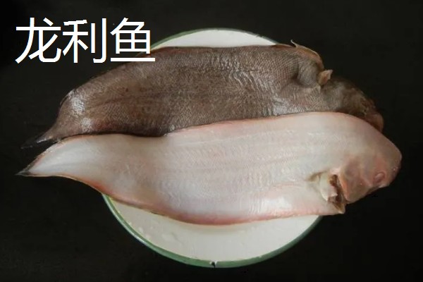 龙利鱼的价格,一斤需要50-60元左右