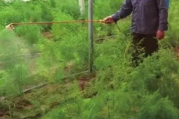 氟硅唑的使用方法，根据防治对象决定用药量