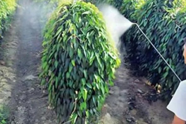 氟硅唑的使用方法，根据防治对象决定用药量