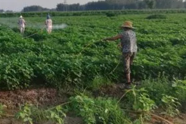 氟硅唑的使用方法，根据防治对象决定用药量