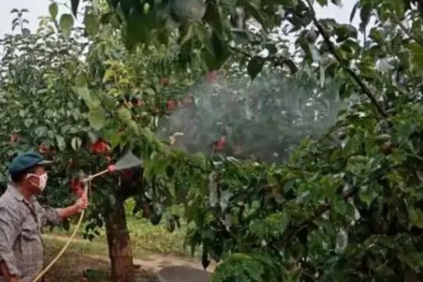 氟硅唑的使用方法，根据防治对象决定用药量