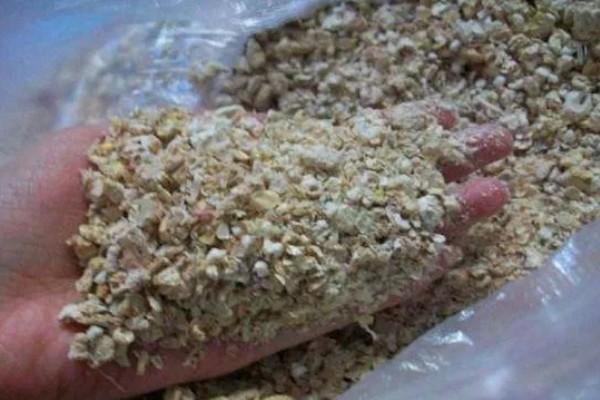 金针菇的种植方式,室温要保持在20-25℃
