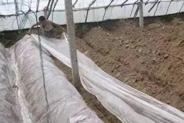 金针菇的种植方式,室温要保持在20-25℃