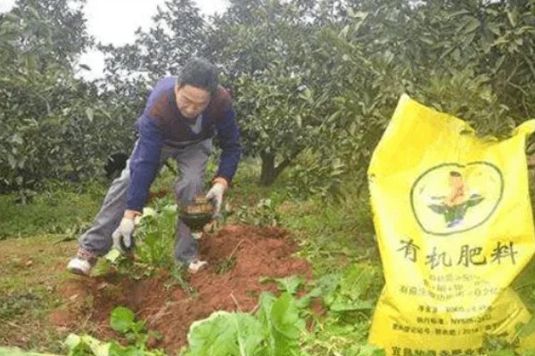 脐橙生长阶段的施肥技术,不同生长期的施肥方法不同