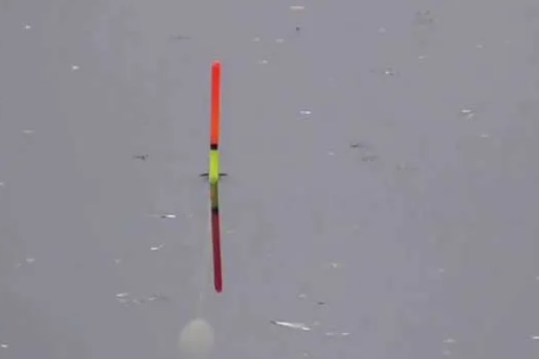 手竿钓鲤鱼调漂方法，以下三种方式很常用