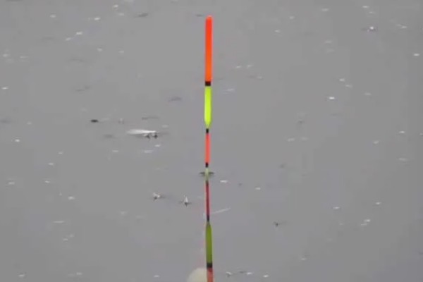 手竿钓鲤鱼调漂方法，以下三种方式很常用