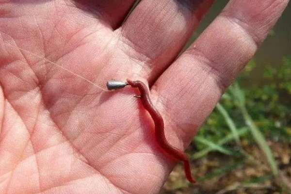 手竿钓鲤鱼调漂方法，以下三种方式很常用