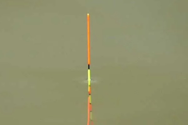 手竿钓鲤鱼调漂方法，以下三种方式很常用