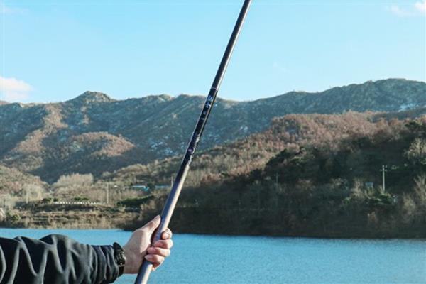 哪个牌子的大物鱼竿质量好，有迪佳、光威、达瓦等