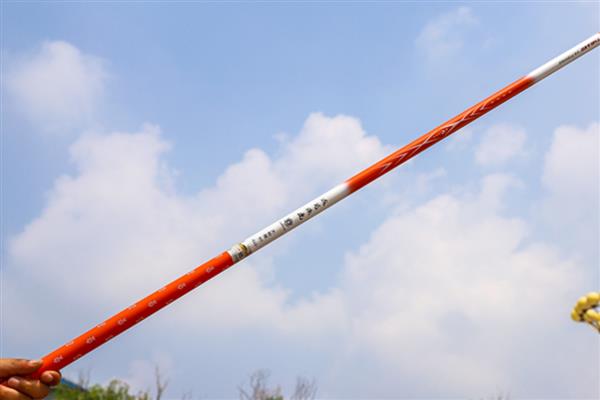 哪个牌子的大物鱼竿质量好，有迪佳、光威、达瓦等