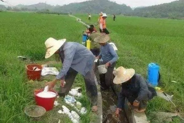 农药的混配要点,要做到现配现用