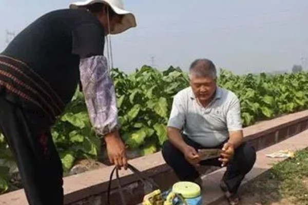 农药的混配要点,要做到现配现用