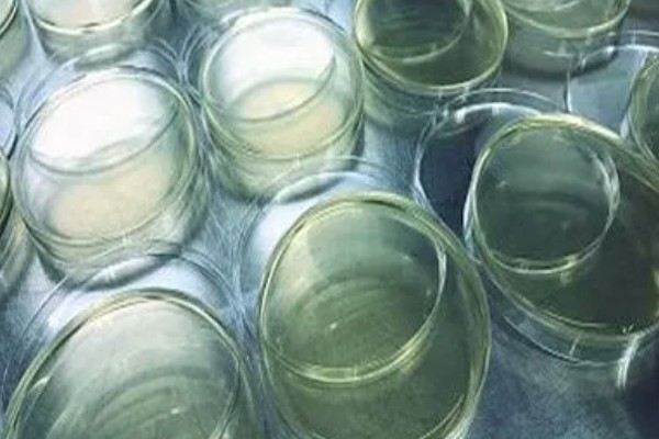 槐耳液体培养方法,温度保持在27-28℃
