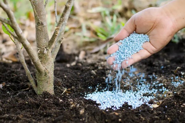 提高肥料利用率的方式，采取配方施肥的方式可有效提升