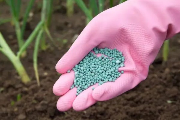 提高肥料利用率的方式，采取配方施肥的方式可有效提升