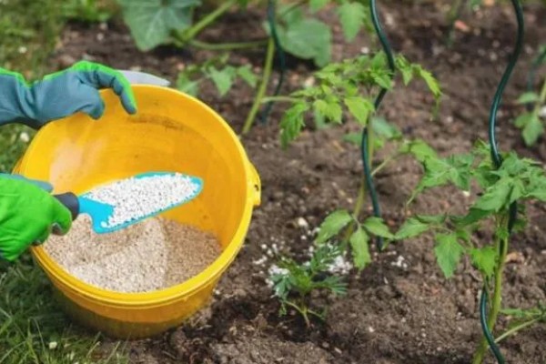 提高肥料利用率的方式，采取配方施肥的方式可有效提升