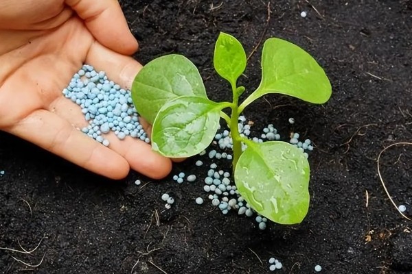 提高肥料利用率的方式，采取配方施肥的方式可有效提升