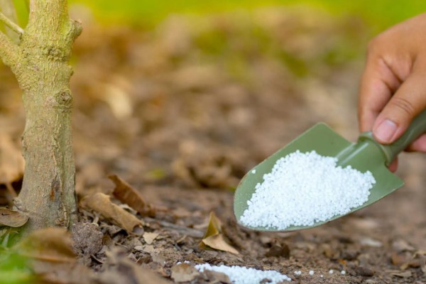 提高肥料利用率的方式，采取配方施肥的方式可有效提升