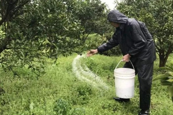 提高肥料利用率的方式，采取配方施肥的方式可有效提升