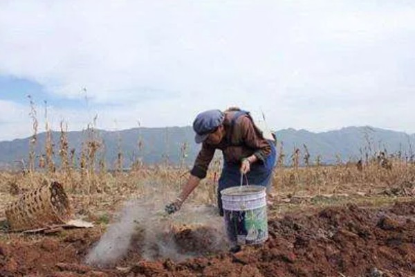 提高肥料利用率的方式，采取配方施肥的方式可有效提升