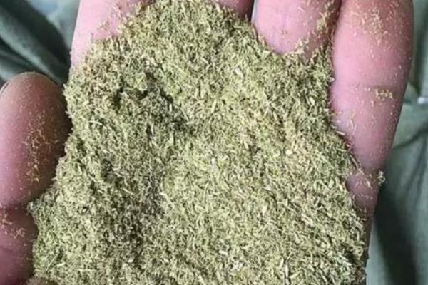 松针有什么作用，可以当做燃料、饲料等