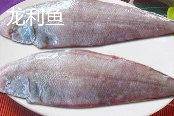 龙利鱼和巴沙鱼的区别，科属、形态特征、分布范围等方面不同
