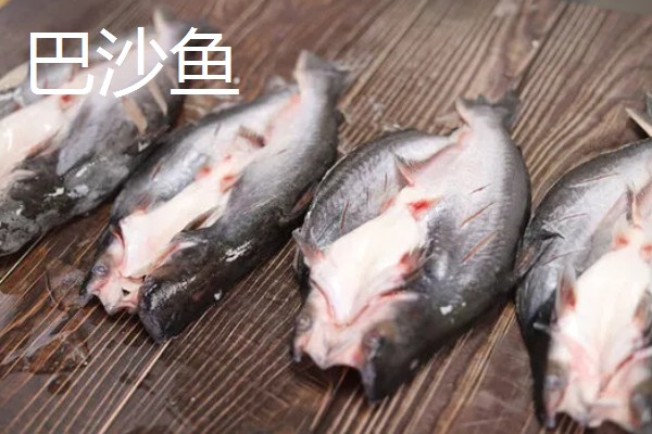 龙利鱼和巴沙鱼的区别，科属、形态特征、分布范围等方面不同