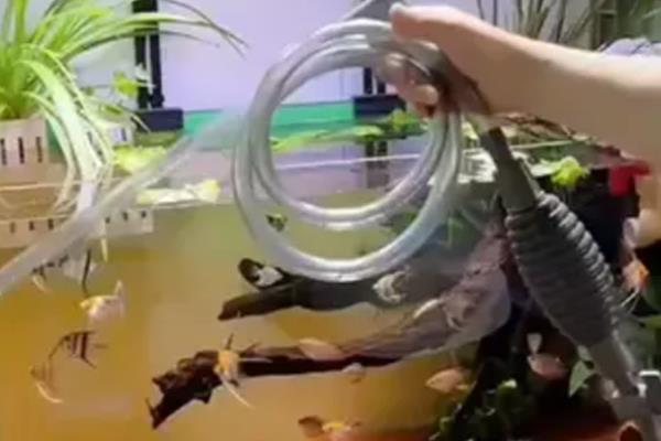 鱼缸为什么要换水，通过换水可以改善水质