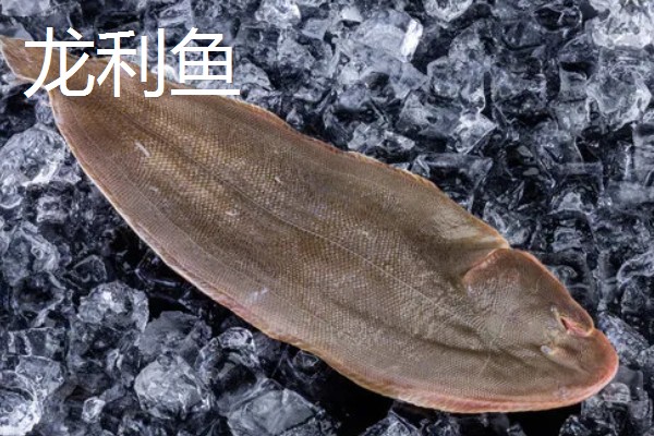 龙利鱼和巴沙鱼的区别，科属、形态特征、分布范围等方面不同