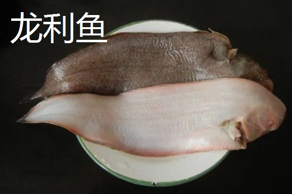 龙利鱼和巴沙鱼的区别，科属、形态特征、分布范围等方面不同