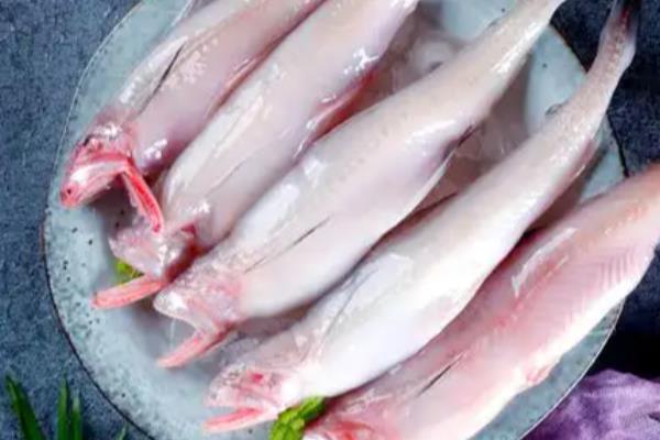 哪些海鱼好吃还不贵,常见小黄鱼、豆腐鱼等品种