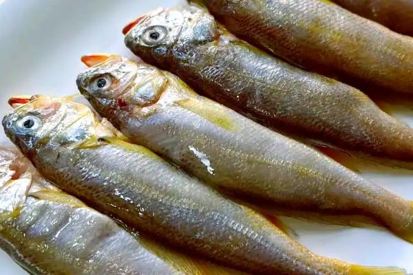 哪些海鱼好吃还不贵,常见小黄鱼、豆腐鱼等品种