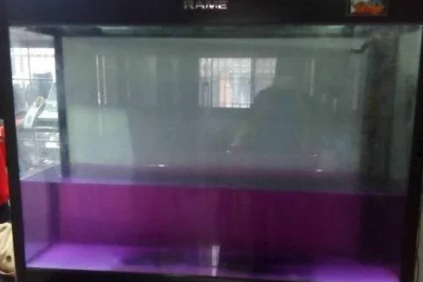 怎么处理不用的鱼缸，洗净后放在阴凉处保存