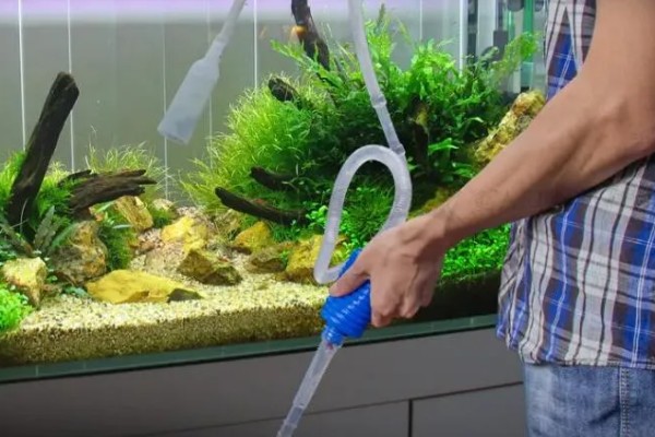 怎么处理不用的鱼缸，洗净后放在阴凉处保存
