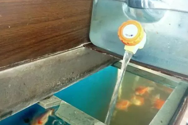 怎么处理不用的鱼缸，洗净后放在阴凉处保存