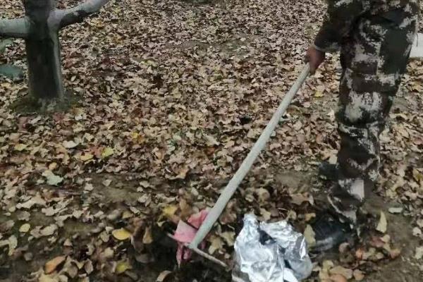 黄桃的病害怎么防治,发生褐腐病可喷施扑海因可湿性粉剂
