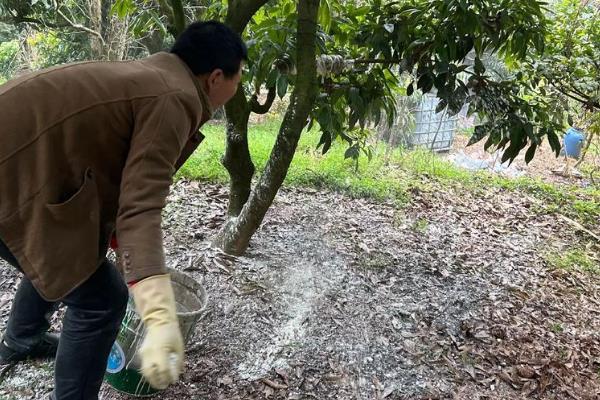果树的施肥方法,常用以下4种方式