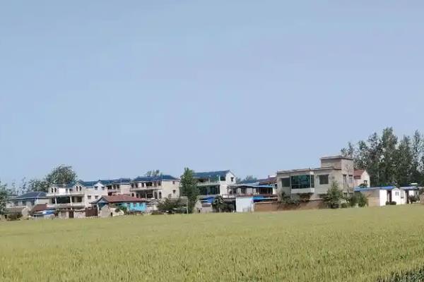 美国小麦区发展有哪些有利条件,当地工业发达且城市化程度高