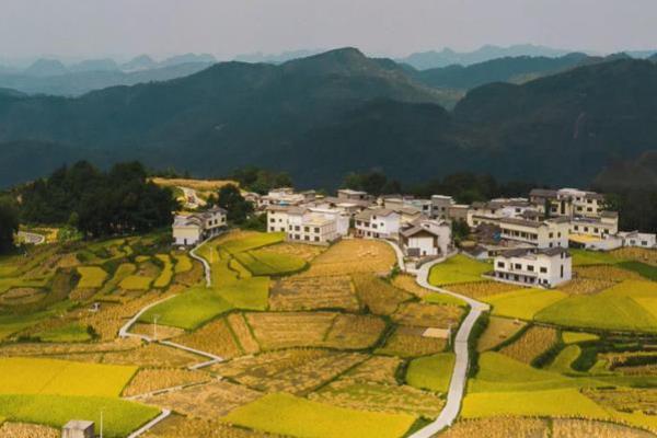 美国小麦区发展有哪些有利条件,当地工业发达且城市化程度高