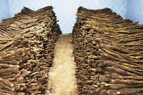 山药的主产地，在中国主产于湖南、江西、福建等省份
