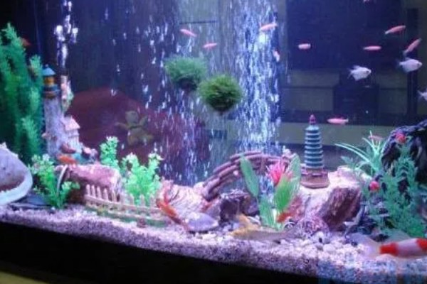 水族箱盖子需要敞开吗,一般不需要敞开