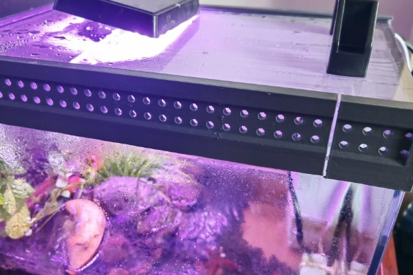 水族箱盖子需要敞开吗,一般不需要敞开