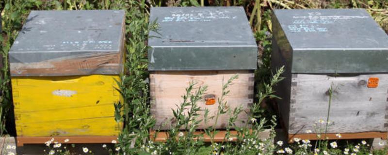 养蜂的工具，包括蜂箱、养蜂帽、蜂扫等